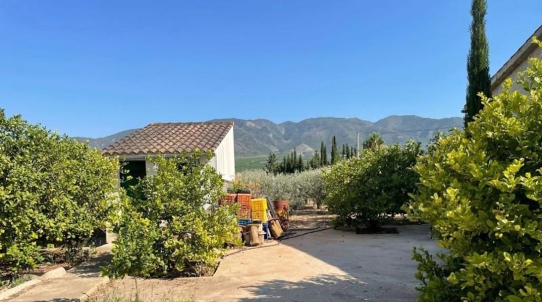 Мурсия - Murcia - 2438m2
