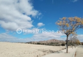 Casa amb terreny en venda a la España, Montfort, ref.: TR399834 foto
