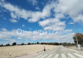 Casa amb terreny en venda a la España, Montfort, ref.: TR399834 foto