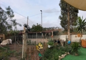 Xalet independent amb terreny en venda a la España, Oria, ref.: TR398232 foto