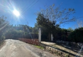 Casa de pueblo en venta en la España, Tortosa, ref: TR398566 foto