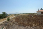 Casa de camp amb terreny en venda a la España, Huércal-Overa, ref.: TR399061 foto