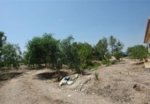 Casa de camp amb terreny en venda a la España, Huércal-Overa, ref.: TR399061 foto