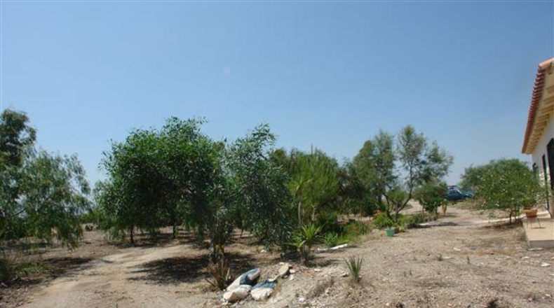 Almeria - Abla - 10000m2