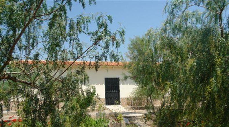 Almeria - Abla - 10000m2
