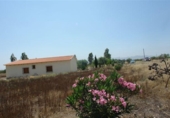 Casa de camp amb terreny en venda a la España, Huércal-Overa, ref.: TR399061 foto