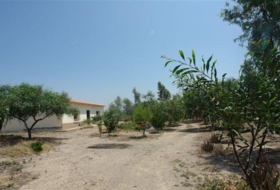 Huércal-Overa 10000&nbsp;m² 