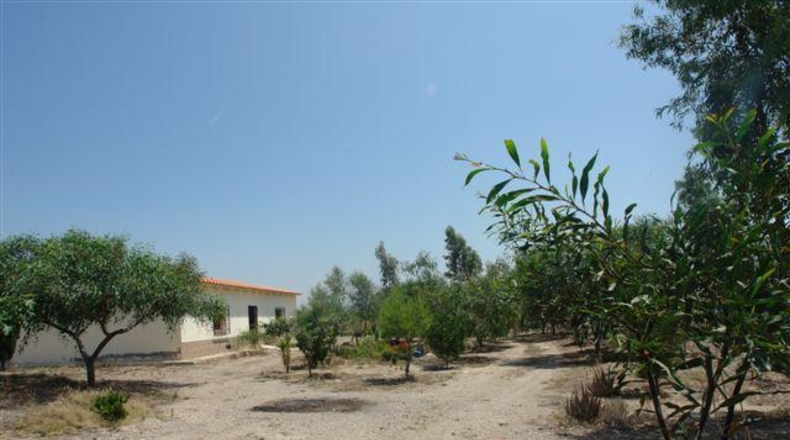 Almeria - Abla - 10000m2