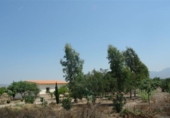 Casa de camp amb terreny en venda a la España, Huércal-Overa, ref.: TR399061 foto
