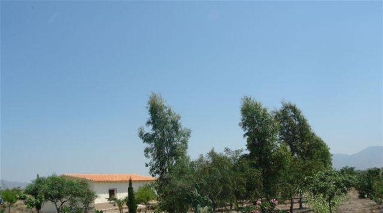 Almeria - Abla - 10000m2