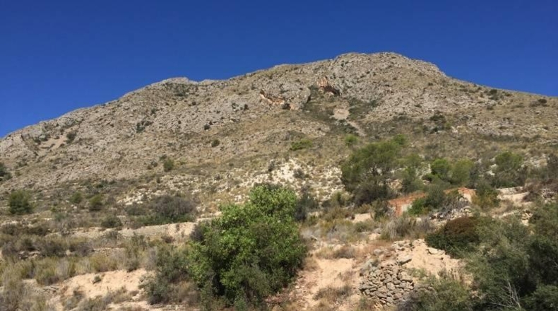 Valencia - Chera - 42860m2