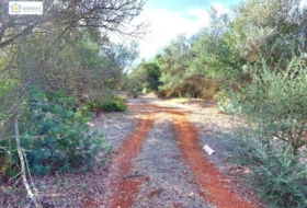 Gerena 67516&nbsp;m² 