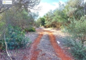 Non-developable land for sale on España, Gerena, ref: TR396905 photo