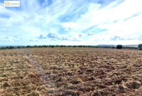 Gerena 67516&nbsp;m² 