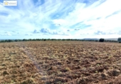 Non-developable land for sale on España, Gerena, ref: TR396905 photo