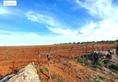 Non-developable land for sale on España, Gerena, ref: TR396905 photo