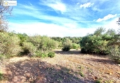 Non-developable land for sale on España, Gerena, ref: TR396905 photo