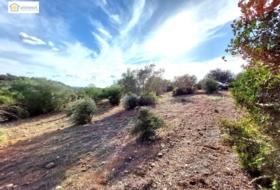 Gerena 67516&nbsp;m² 
