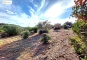 Non-developable land for sale on España, Gerena, ref: TR396905 photo