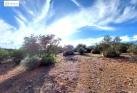 Gerena 67516&nbsp;m² 