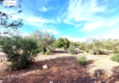 Non-developable land for sale on España, Gerena, ref: TR396905 photo