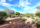 Non-developable land for sale on España, Gerena, ref: TR396905 photo