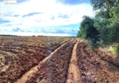 Non-developable land for sale on España, Gerena, ref: TR396905 photo