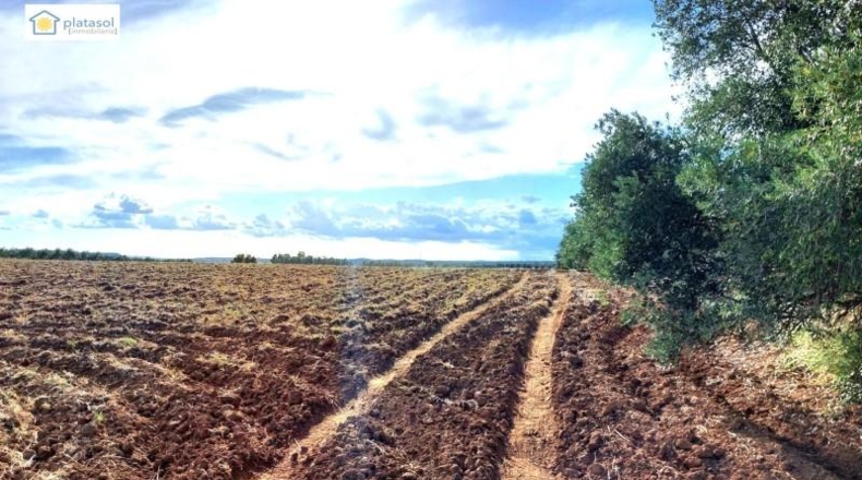 Alava - Vitoria - 67516m2