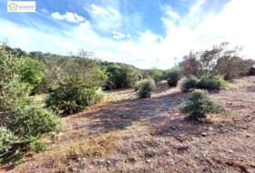 Gerena 67516&nbsp;m² 