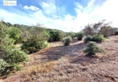 Non-developable land for sale on España, Gerena, ref: TR396905 photo