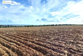 Gerena 67516&nbsp;m² 