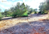 Non-developable land for sale on España, Gerena, ref: TR396905 photo