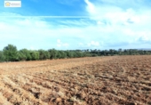 Non-developable land for sale on España, Gerena, ref: TR396905 photo