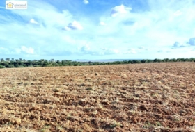 Gerena 67516&nbsp;m² 
