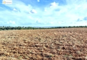 Non-developable land for sale on España, Gerena, ref: TR396905 photo