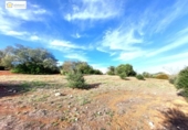 Non-developable land for sale on España, Gerena, ref: TR396905 photo
