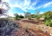 Non-developable land for sale on España, Gerena, ref: TR396905 photo