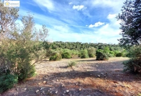 Gerena 67516&nbsp;m² 