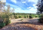 Non-developable land for sale on España, Gerena, ref: TR396905 photo