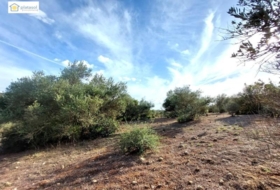 Gerena 67516&nbsp;m² 
