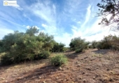 Non-developable land for sale on España, Gerena, ref: TR396905 photo