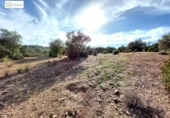 Non-developable land for sale on España, Gerena, ref: TR396905 photo