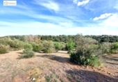 Non-developable land for sale on España, Gerena, ref: TR396905 photo