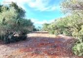 Non-developable land for sale on España, Gerena, ref: TR396905 photo