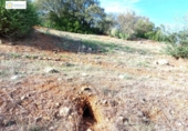 Non-developable land for sale on España, Gerena, ref: TR396905 photo