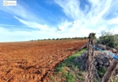 Non-developable land for sale on España, Gerena, ref: TR396905 photo