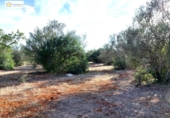 Non-developable land for sale on España, Gerena, ref: TR396905 photo