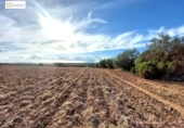 Non-developable land for sale on España, Gerena, ref: TR396905 photo