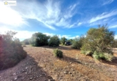 Non-developable land for sale on España, Gerena, ref: TR396905 photo