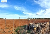 Non-developable land for sale on España, Gerena, ref: TR396905 photo